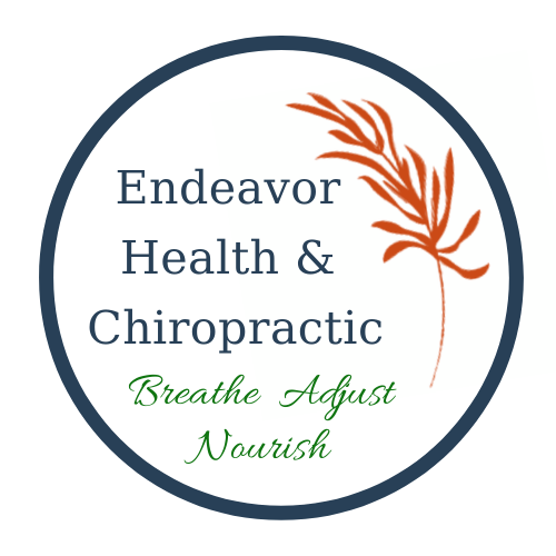 Endeavor Health & Chiropractic