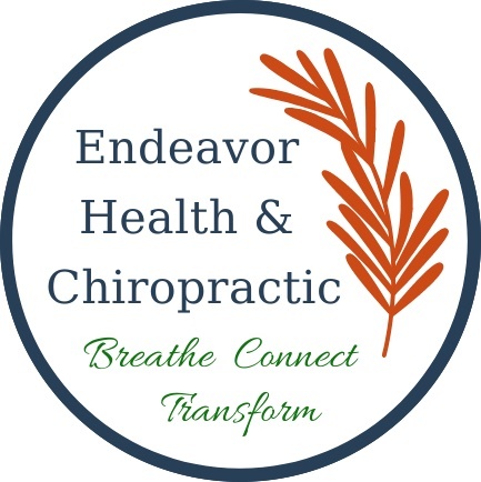 Endeavor Health & Chiropractic