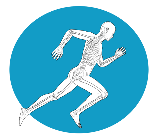 Southeast Physical Therapy