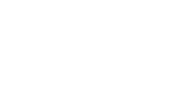 PERFORMANCE CHIROPRACTIC + WELLNESS