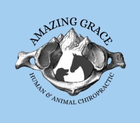 Amazing Grace Human and Animal Chiropractic