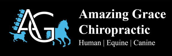Amazing Grace Human and Animal Chiropractic