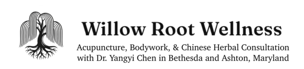 Willow Root Wellness with Dr. Yangyi Chen