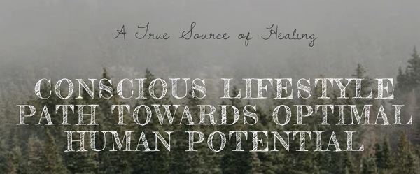 Vital Source Holistic Wellness Center