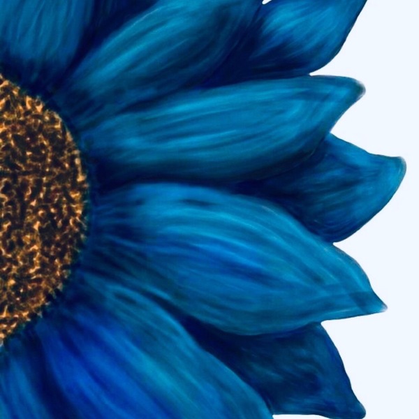 Bleu Sunflower Acupuncture and Wellness