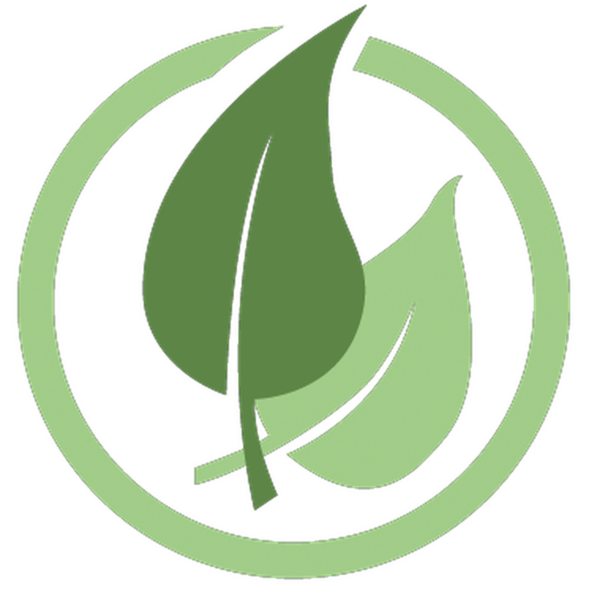 Whole Health & Wellness