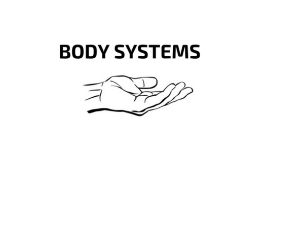 Body Systems